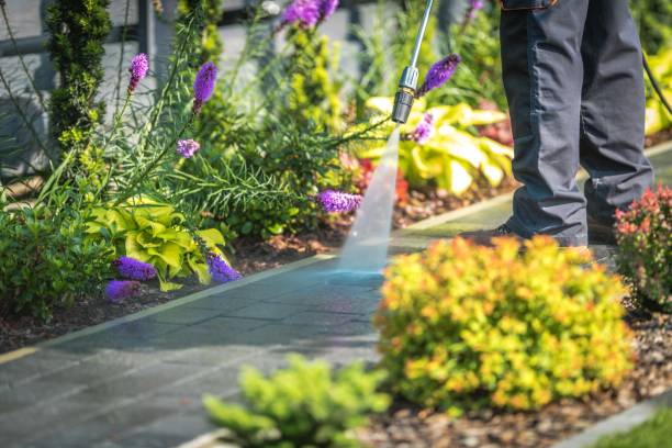 Best Restaurant Pressure Washing  in Greenville, IN